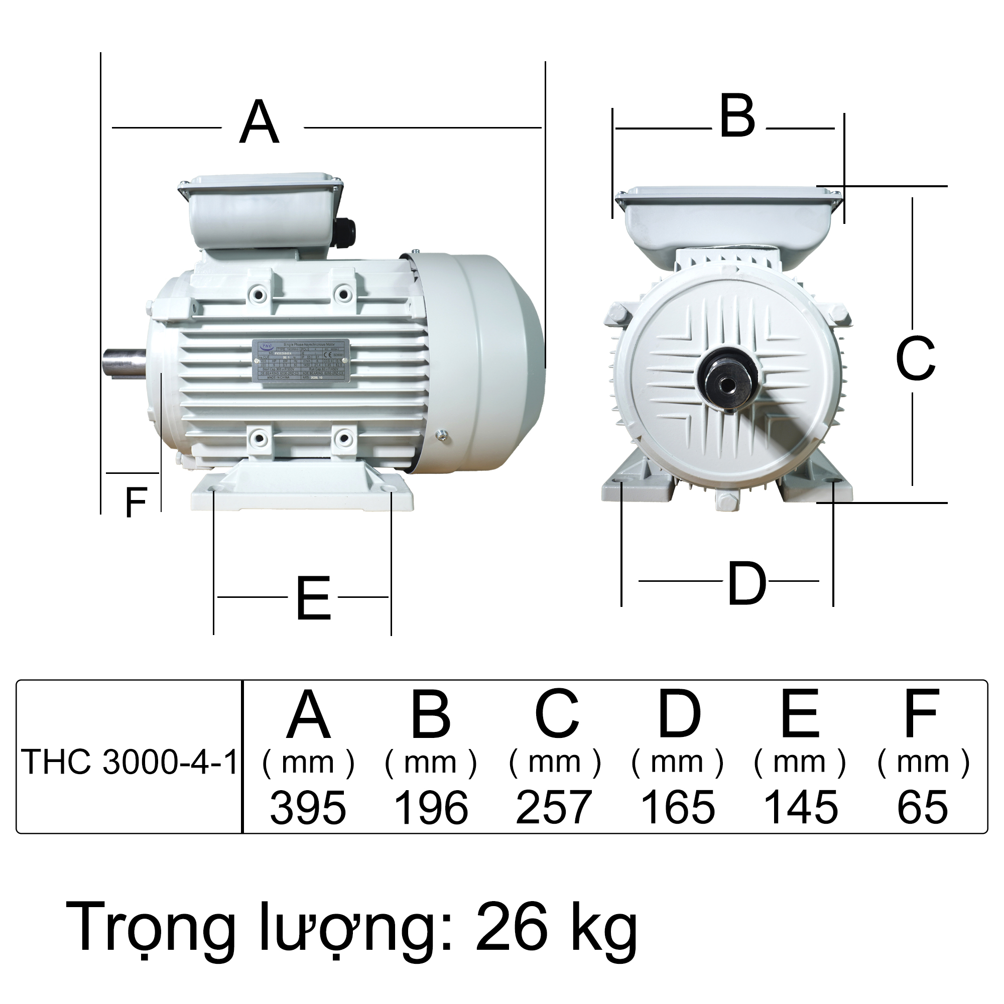 Motor Kéo THC 3000-4-1 (1 phase)